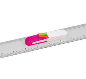 Promo 30cm Ruler With Flags