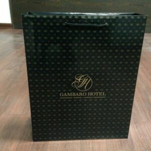 Customized Gloss Laminated Paper Bags